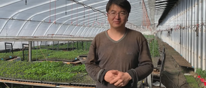 Agrarwissenschaftler Dong Jianyi betreibt in Alberta das Unternehmen Fresh Pal Farms und baut sein Gemüse in passivsolaren Gewächshäusern.