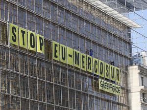 Greenpeace-Aktion in Brüssel: Nicht immer ist die Finanzierung der Organisationen langfristig gesichert.