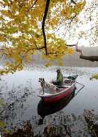 Um den See soll bald nicht mehr gehen, aber auf dem See? Ist eigentlich dann Bootfahren für Hunde noch erlaubt?