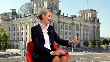 Alice Weidel beim Interview mit der ARD.