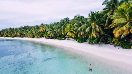 Am Strand der abgelegenen Seychellen-Insel Desroches.