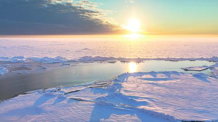 ACHTUNG: DIESER BEITRAG DARF NICHT VOR DER SPERRFRIST, 21. APRIL 12.00 UHR, VERÖFFENTLICHT WERDEN! EIN BRUCH DES EMBARGOS KÖNNTE DIE BERICHTERSTATTUNG ÜBER STUDIEN EMPFINDLICH EINSCHRÄNKEN. HANDOUT - Aufnahme von arktischem Meereis aus dem Spätsommer 2015. Dieses Foto entstand im Zuge der Polarstern-Expedition PS94 in den zentralen Arktischen Ozean. ACHTUNG: Verwendung nur zu redaktionellen Zwecken im Zusammenhang mit der Berichterstattung und mit dem Hinweis auf die Quelle: "Foto: Stefan Hendricks/Alfred-Wegener-Institut/dpa" (Zu dpa "Experten erwarten erneute Rekord-Eisschmelze in der Arktis") +++(c) dpa - Bildfunk+++ |