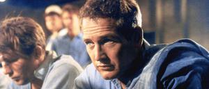 Paul Newman litt am Hochstapler-Syndrom. 