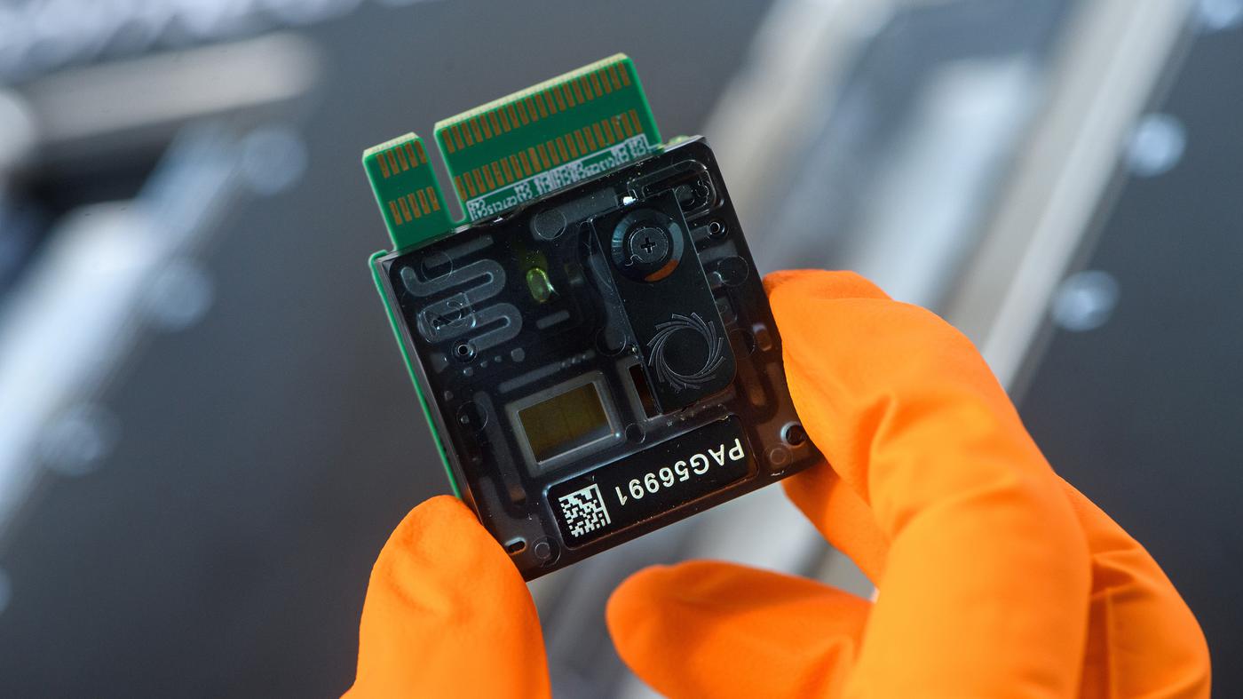 Feinstruktur der Gene Ursache für Nierenleiden entschlüsselt