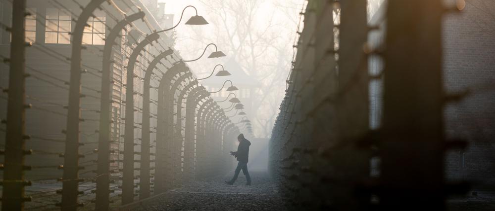 Am 27. Januar 1945 wurde das Konzentrationslager Auschwitz befreit.  