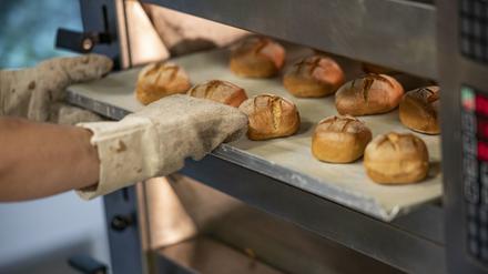 In einem Bäckereibetrieb des Mittelstandes werden Brötchen gebacken.