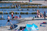 Gut besucht ist der Strand am Stettiner Haff trotz der Warnungen wegen der Gewässerverunreinigung in der Oder.