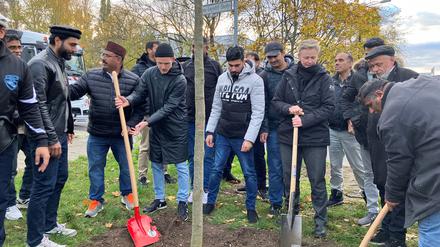 Baumpflanzung der Ahmadiyya Muslim Jamaat-Gemeinschaft  in Heinersdorf. Rechts Bezirksbürgermeisterin Cordelia Koch, links Louis Krüger. 