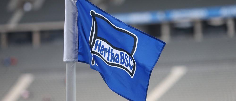 Fahne im richtigen Wind. Hertha holt sich Hilfe bei Hertha 03.
