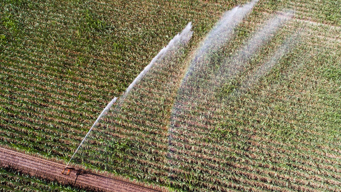 Niemieccy rolnicy muszą płacić więcej za wodę
