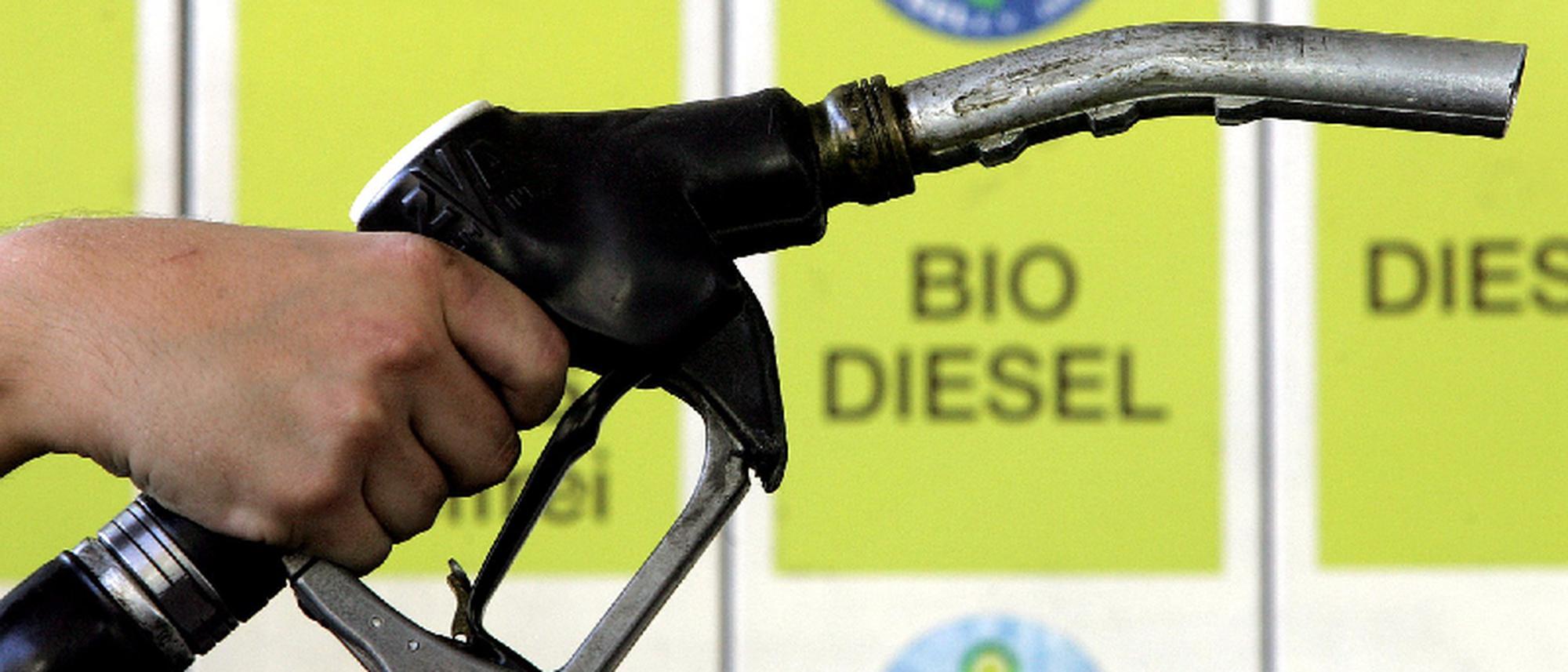 Biodiesel: Von der Zukunftsfabrik zur Millionenruine