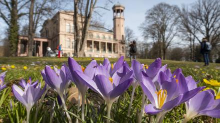 Im Garten von Schloss Biesdorf findet das Blütenfest wieder statt.