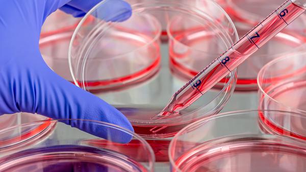 Gen- und Zelltherapien versprechen Heilung bei schweren Krankheiten. Die Arbeitsgruppe Gentechnologiebericht analysiert und bewertet diese neuen Verfahren. 