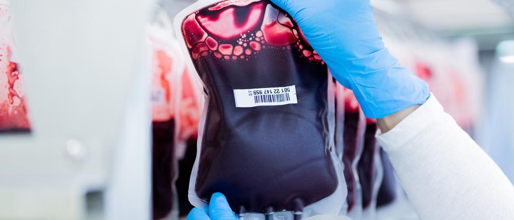 Blutkonserven werden im Zentrallabor des DRK-Blutspendedienstes für Krankenhäuser und Praxen gefiltert und aufbereitet.