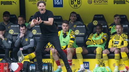 Dortmunds Trainer Edin Terzic treibt sein Team an.