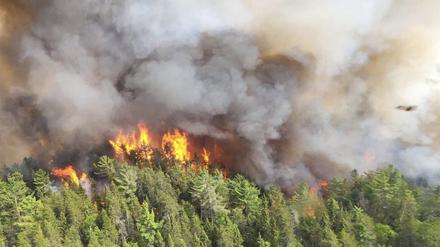 Seit Wochen brennen in Kanada die Wälder, hier ein aktuelles Bild aus Ontario.