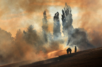 Feuerwehrleute löschen Anfang Juli in Mecklenburg-Vorpommern ein Getreidefeld, das in Flammen steht.