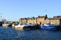 Das schottische Peterhead ist einer der wichtigsten Häfen für Fischerboote in Europa.