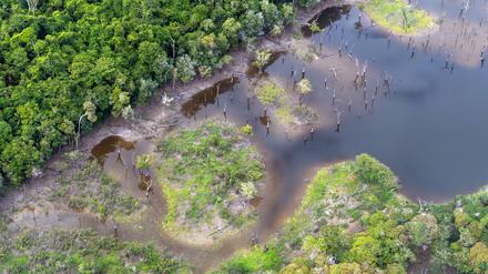 Eine Wasserfläche im Regenwald im Amazonasgebiet. 