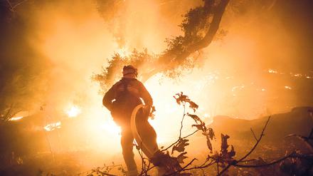 Ein Buschfeuer in Kalifornien hat sich bereits auf eine Fläche von 900 Hektar  ausgebreitet. (Archivfoto)