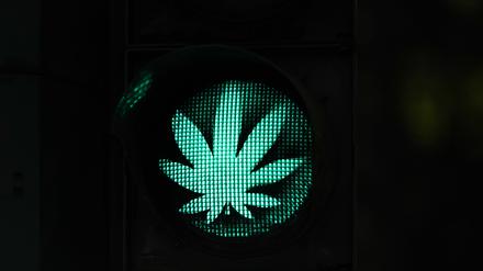 Der Anbau von Cannabis soll nach dem Willen der Ampel in Deutschland in begrenzten Mengen freigegeben werden. 