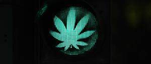 Der Anbau von Cannabis soll nach dem Willen der Ampel in Deutschland in begrenzten Mengen freigegeben werden. 