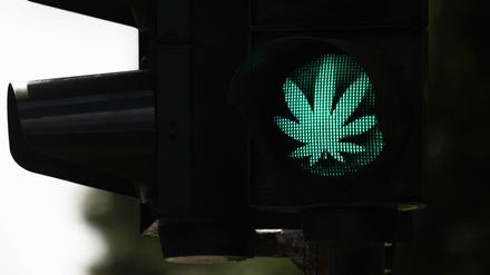 Ein Cannabis-Blatt leuchtet während der Grünphase an einer Ampel in Aachen. 