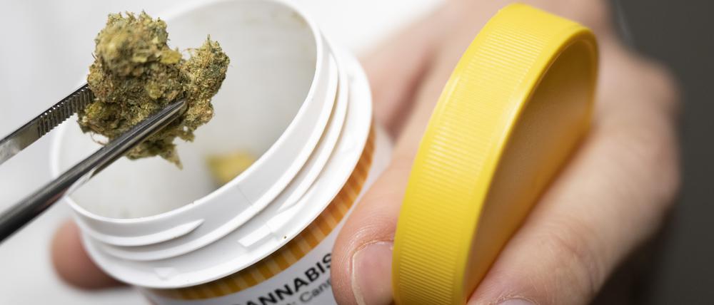 Cannabisblüten für medizinische Zwecke werden von mehreren Anbietern in Deutschland produziert und vermarktet.