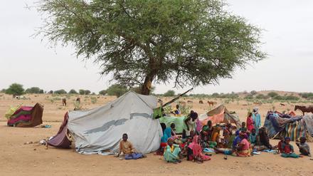 Hunderte Sudanesen, die meisten von ihnen Frauen und Kinder, überqueren täglich einen kleinen, trockenen Fluss, um im benachbarten Tschad Sicherheit zu finden (Symbolbild).