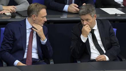 Finanzminister Christian Lindner und Wirtschaftsminister Robert Habeck bei einer Sitzung des Deutschen Bundestages Mitte November.