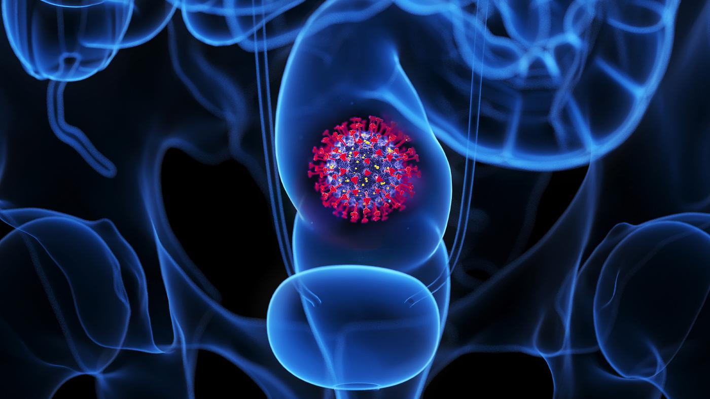 “Time seems to cure long Covid.”