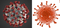 HIV Traces Seen In Coronavirus
