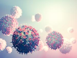 Viren der Sars-Cov-2-Variante Omikron, die derzeit das Corona-Infektionsgeschehen beherrscht.