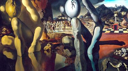 Dalí Metamorphosis of Narcissus