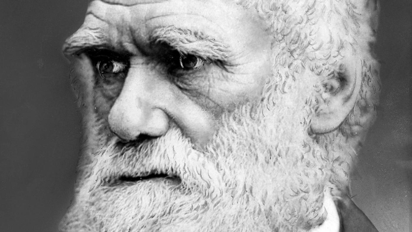 Charles Darwin Natürliche Auslese statt göttlichem Plan