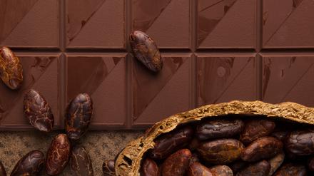 Von der Bohne zur Tafel: Kakao ist ein wertvoller Rohstoff.