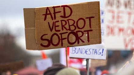 Am 14. Januar haben in Berlin tausende Menschen gegen die AfD protestiert. 