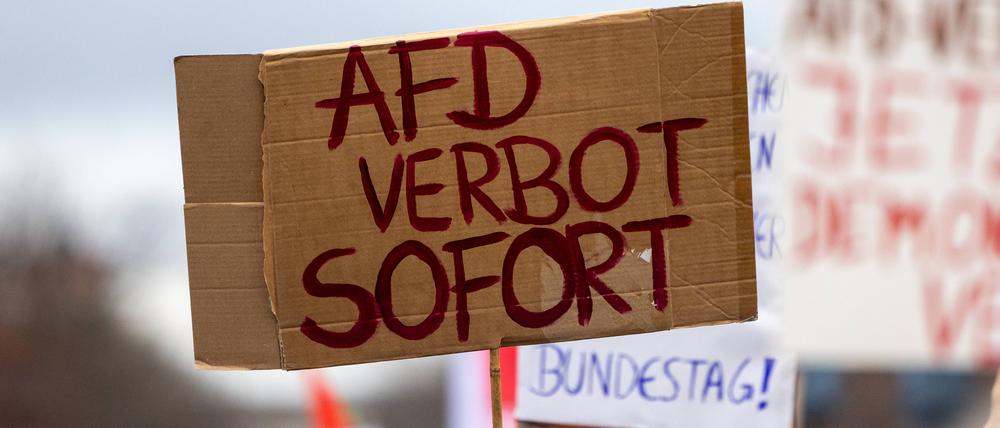 Am 14. Januar haben in Berlin tausende Menschen gegen die AfD protestiert. 