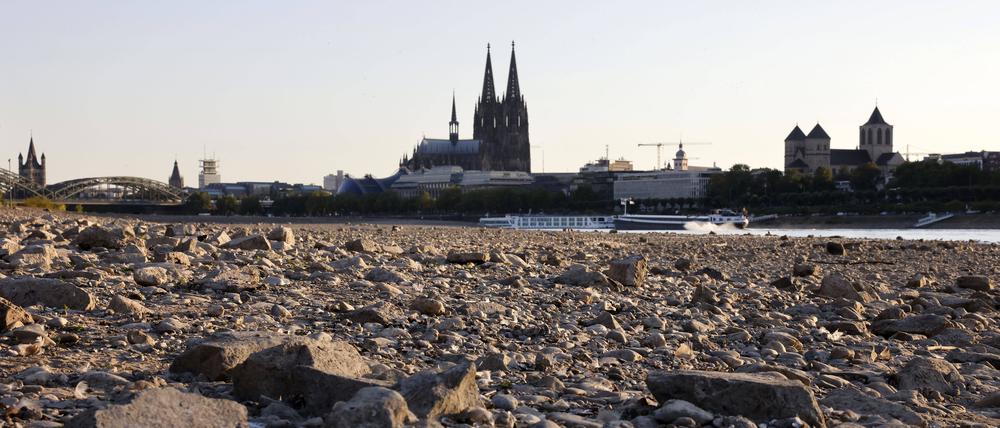 Der Rhein bei bei Köln bei starkem Niedrigwasser (Archivbild).
