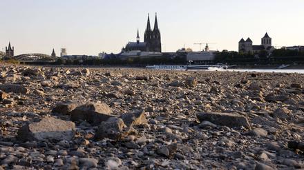 Der Rhein bei Köln hatte Mitte August starkes Niedrigwasser, er war auf unter 75 Zentimeter gefallen. Nach Niederschlägen ist der Pegel mittlerweile wieder etwas angestiegen.