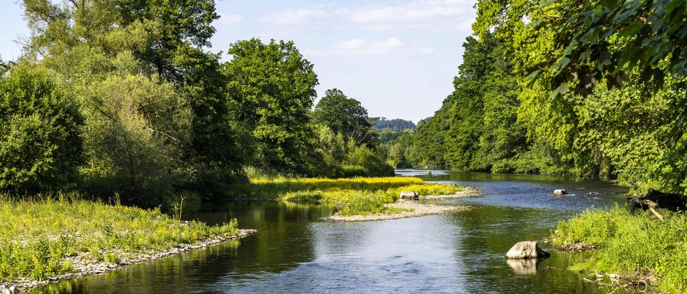 Nach dem neuen Renaturierungsgesetz soll europäischen Flüssen künftig mehr Raum gegeben werden.