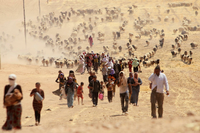 Jesiden fliehen im Jahr 2014 vor den Kämpfern der Terrormiliz "Islamischer Staat".