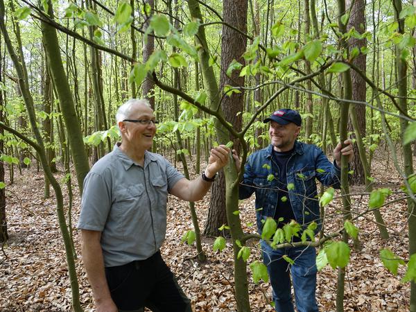 Waldfreunde: Thorsten Walter und Torsten Hennig kümmern sich um den Erhalt der Wälder. 