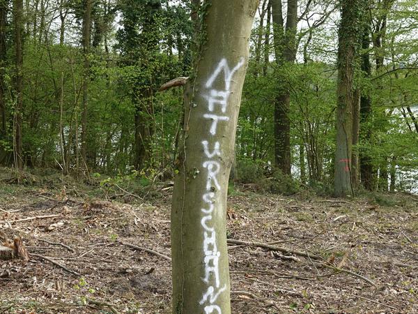 „Naturschänder“ haben Unbekannte auf einen Baum im Abholzgebiet geschrieben. 