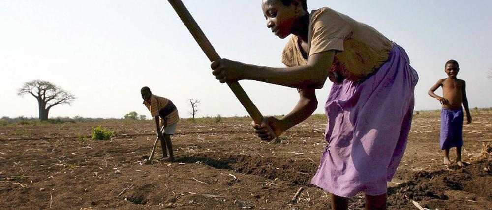 Dürre in Malawi
