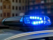 „Umgehend eingefangen“: Plüschtier-Schlange sorgt in Wiesbaden für Polizeieinsatz 