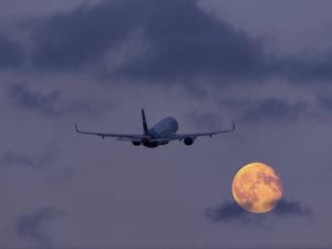 Privatpersonen werden Emissionsgutschriften etwa für Flugreisen angeboten.