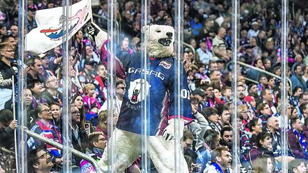 Die Eisbären treten in der kommenden Woche zum ersten Mal in der DEL vor den heimischen Fans an.