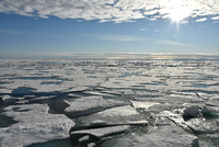 Die Eisdecke auf dem Arktischen Ozean am Nordpol, aufgenommen im August dieses Jahres.