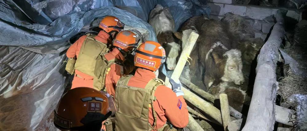 Rettungskräfte durchsuchen ein von einem Erdbeben betroffenes Gebiet in der Gemeinde Yamansu im Kreis Wushi der Präfektur Aksu in der nordwestchinesischen autonomen Region Xinjiang Uygur. 